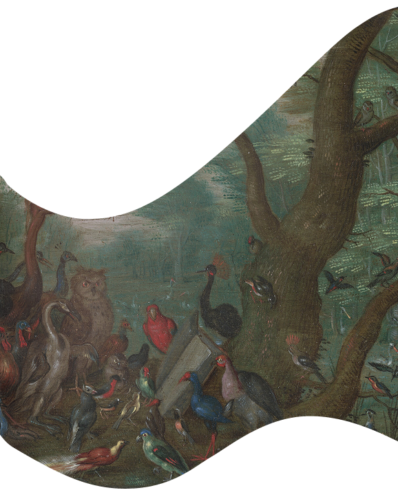 Beautiful painting of nature with a lots of birds and a pond